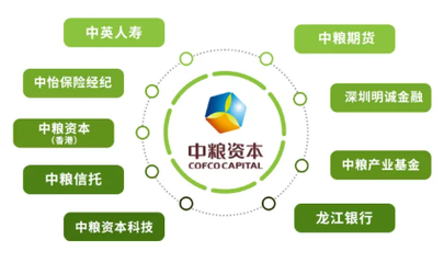 福滿佳2.0紅利實現(xiàn)率超預期，2025年中英人壽分紅率突破3.5%驚喜揭曉